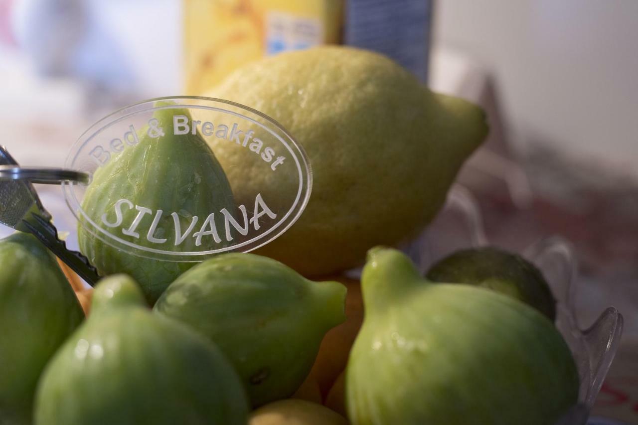 B&B Silvana 살레르노 외부 사진